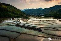 矛_村的生态梯田风?